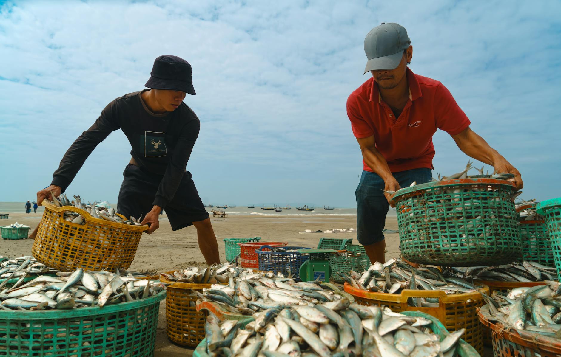 Minh họa góc bắn ria chéo vào đàn cá để tiết kiệm đạn